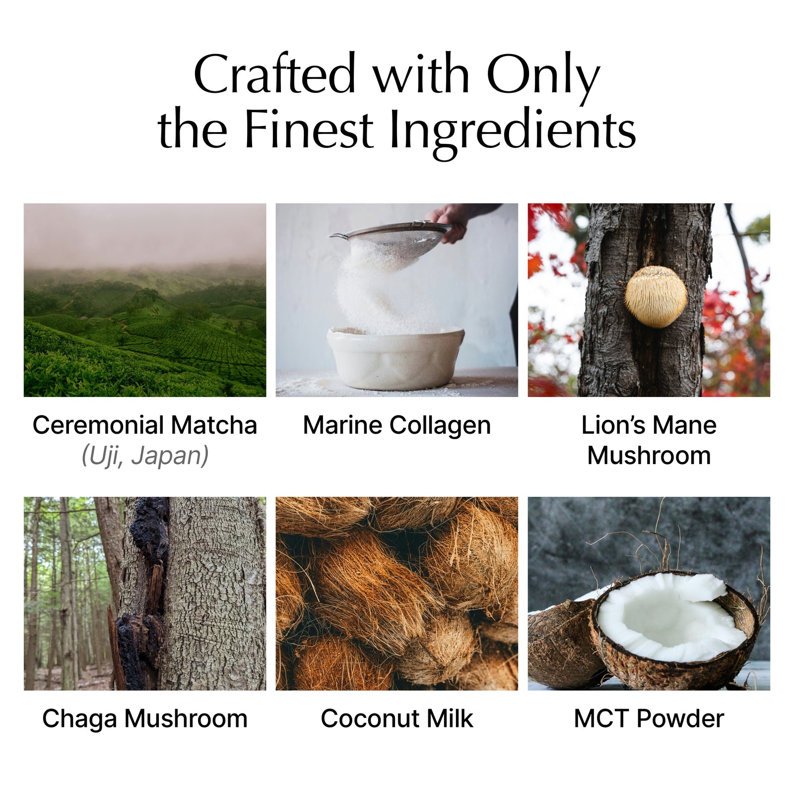 COLLAGEN MATCHA